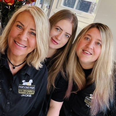meet the team